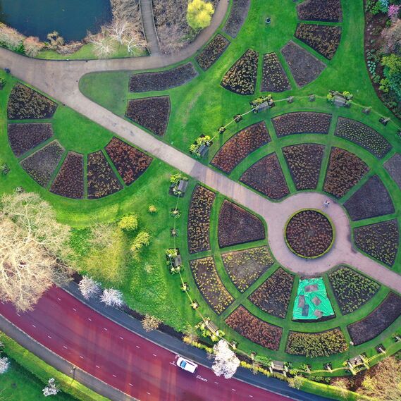 Green circles
