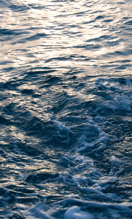 Deepwater port Case Study