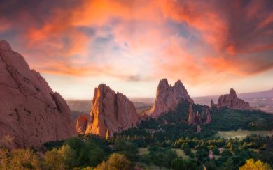 Desert landscape