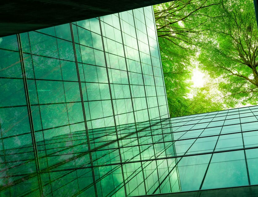 Sustainability - UK Carbon Reduction Plan